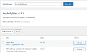 MS Plugin Manager